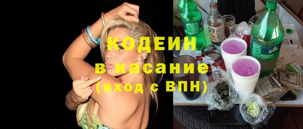 индика Весьегонск