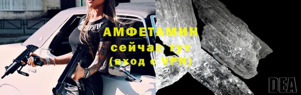 гидра Осинники