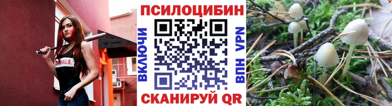 Псилоцибиновые грибы мухоморы  что такое   Остров 